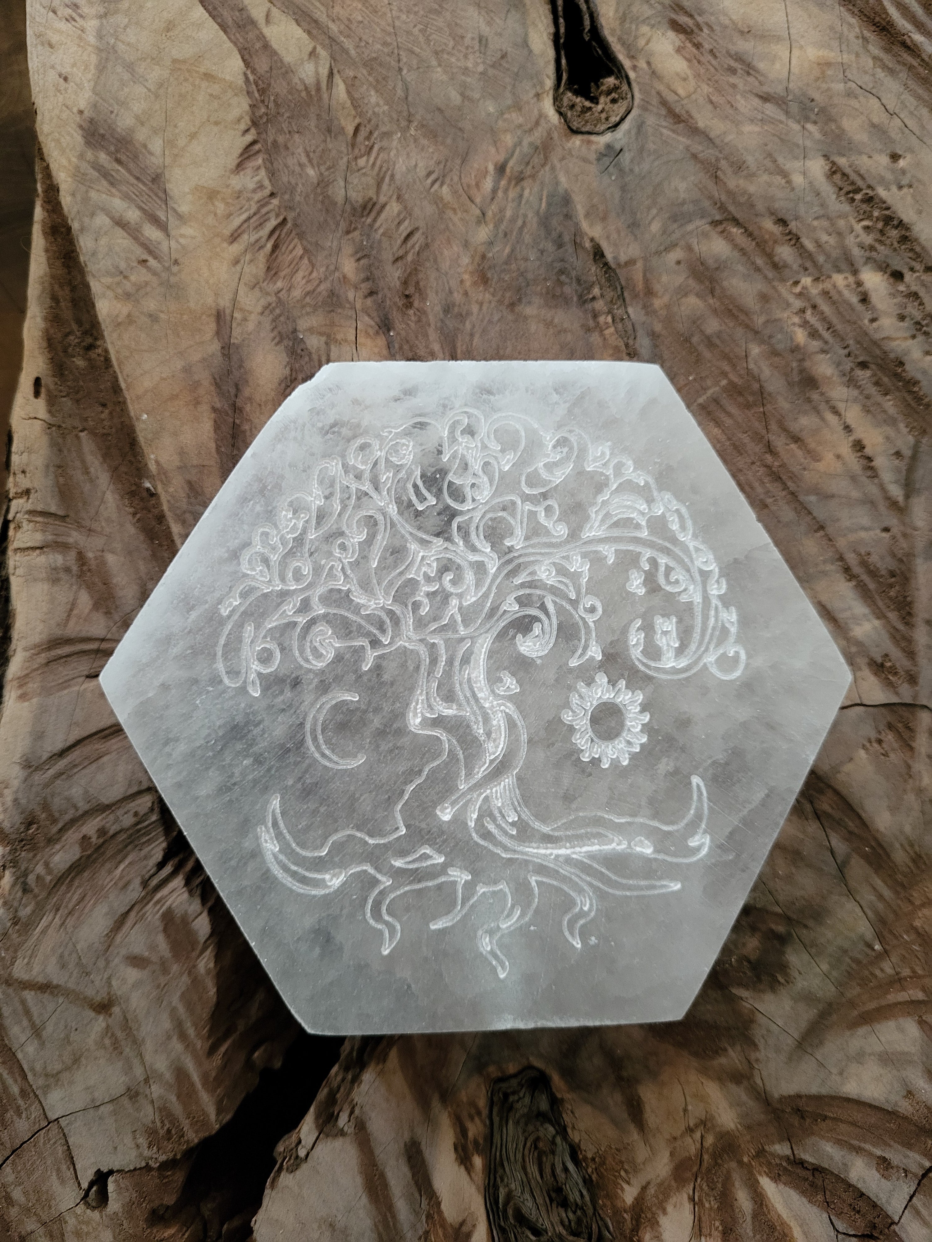 Placa de Selenita Redonda o  Hexagonal Árbol de la Vida