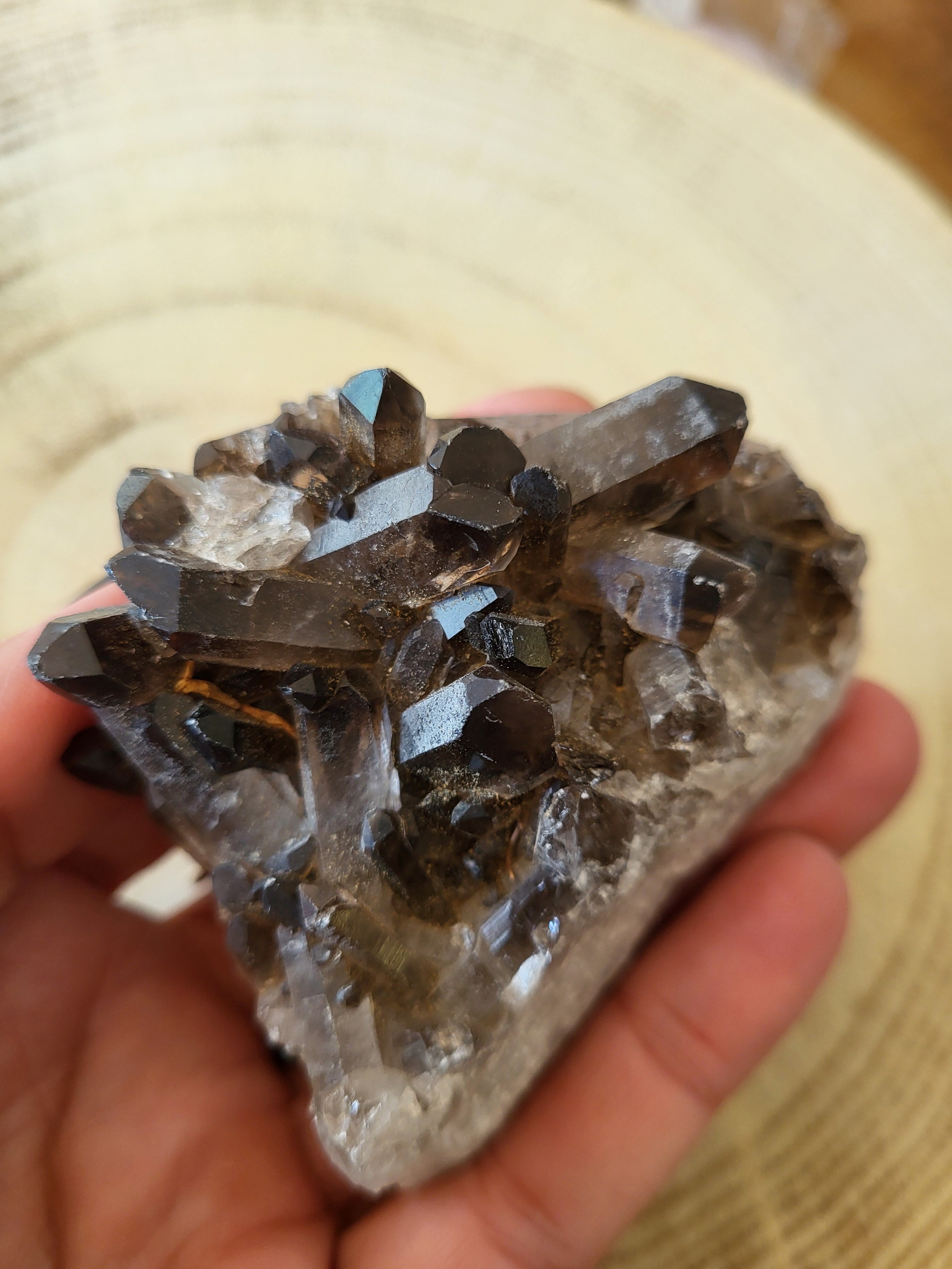 Drusa de Cuarzo Ahumado