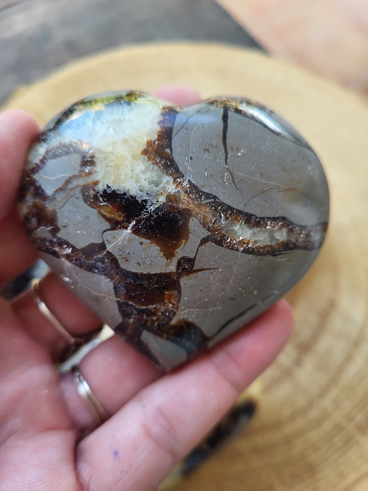 Corazón de Septaria