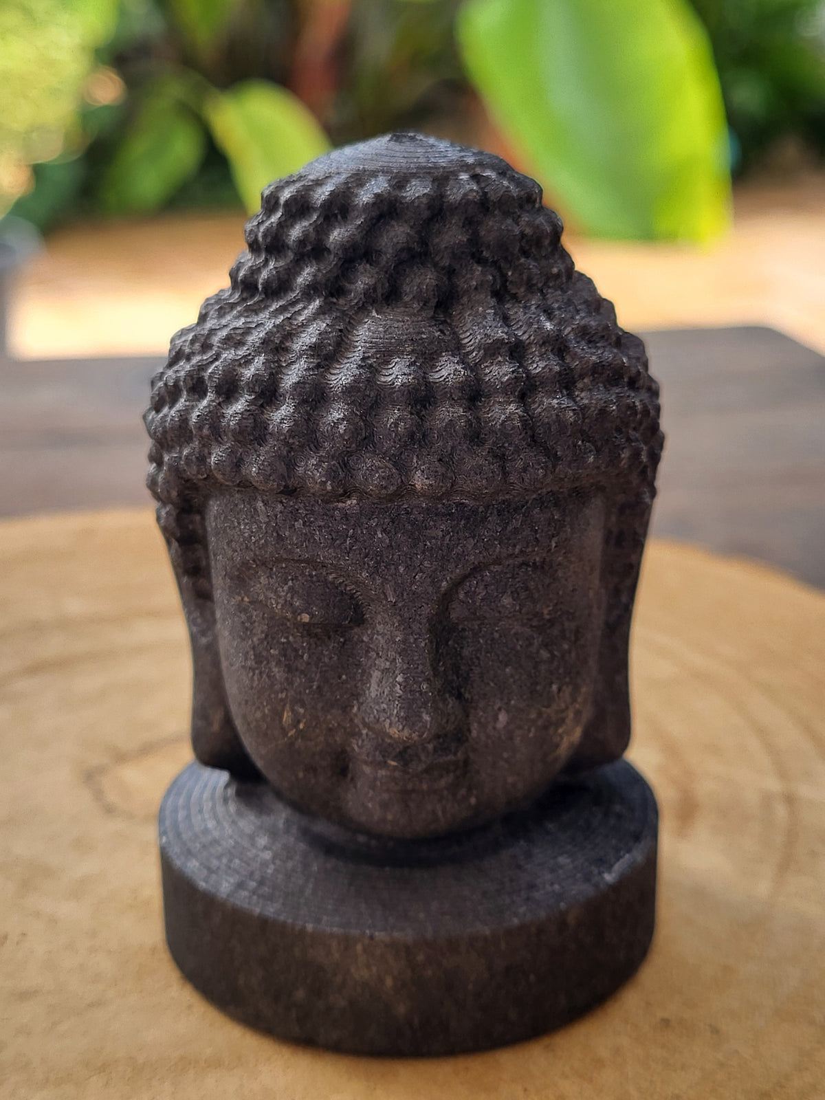 Cabeza de Buda de Shungita