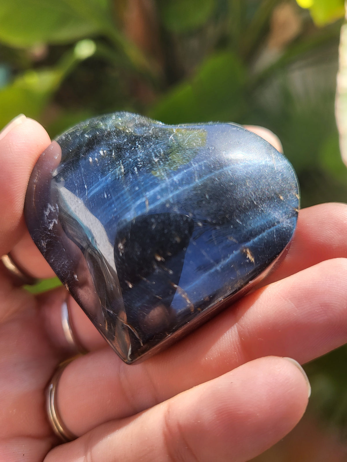 Corazón de Ojo de Tigre Azul