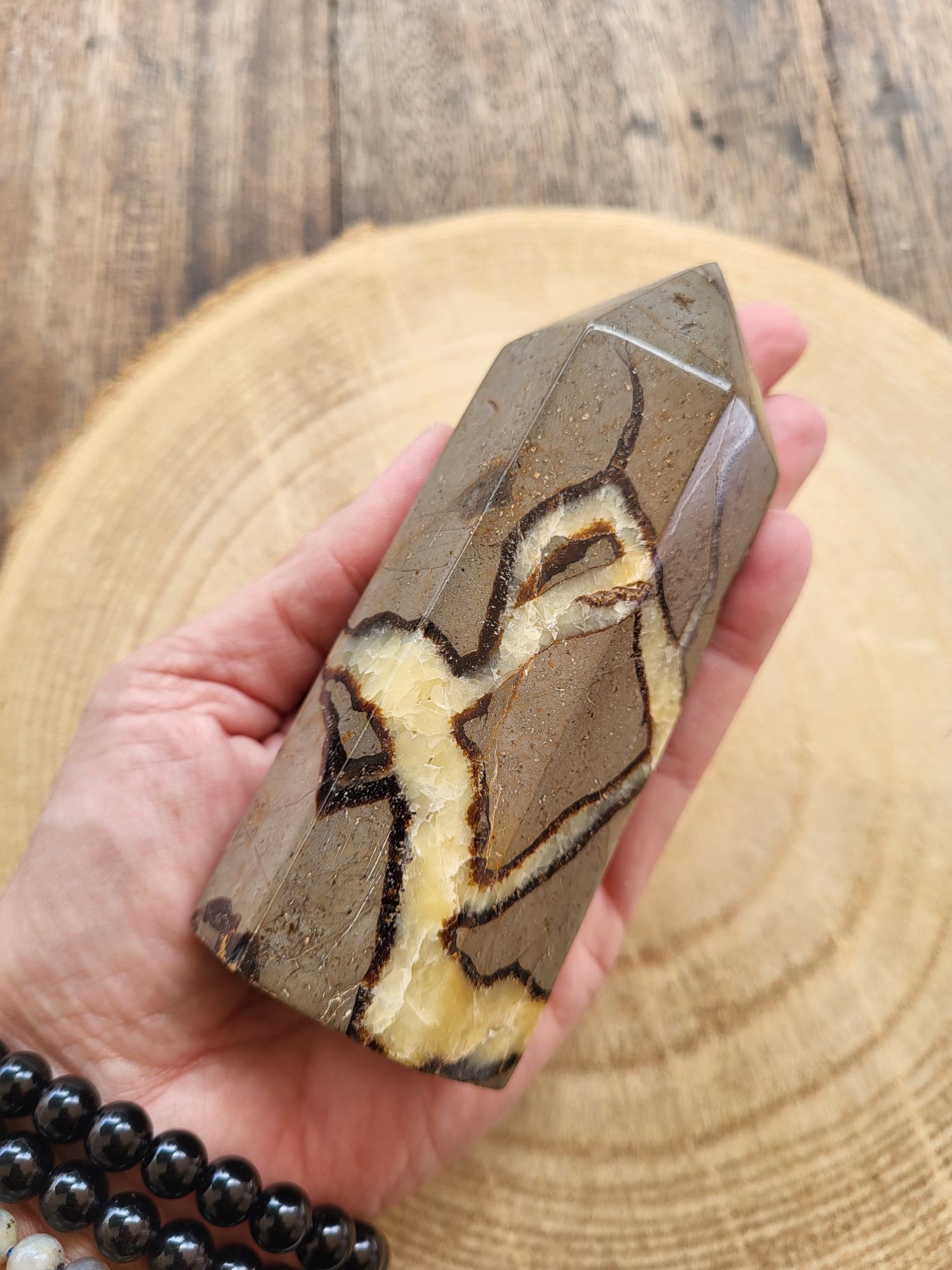 Punta de Septaria Natural