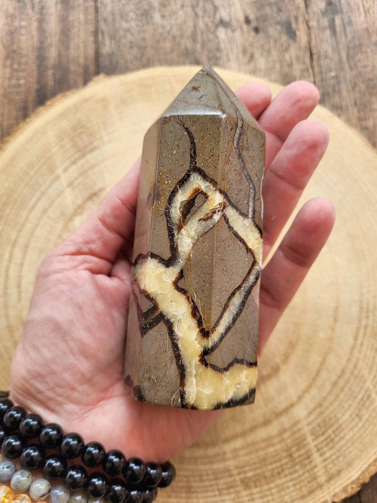 Punta de Septaria Natural